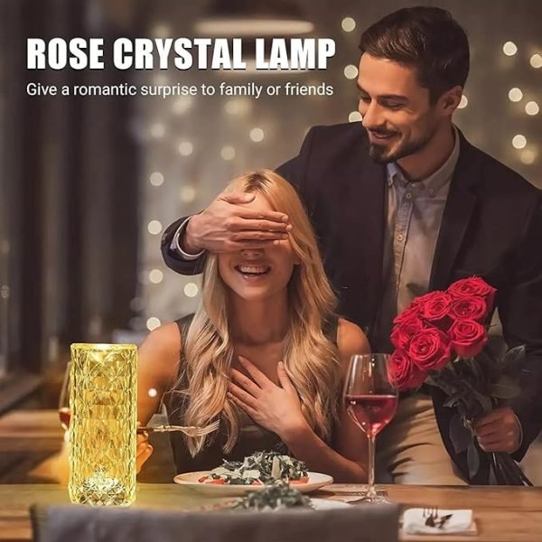 16 Colors Rose Diamond Table Touch/Remote Lamp (Both AC/DC) - Image 2