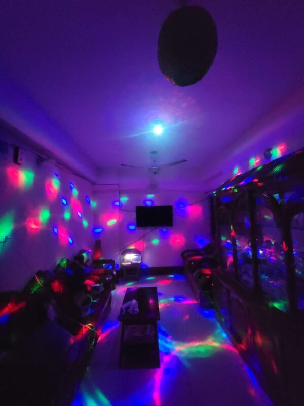 6 Color - 360° Rotating Disco Bulb